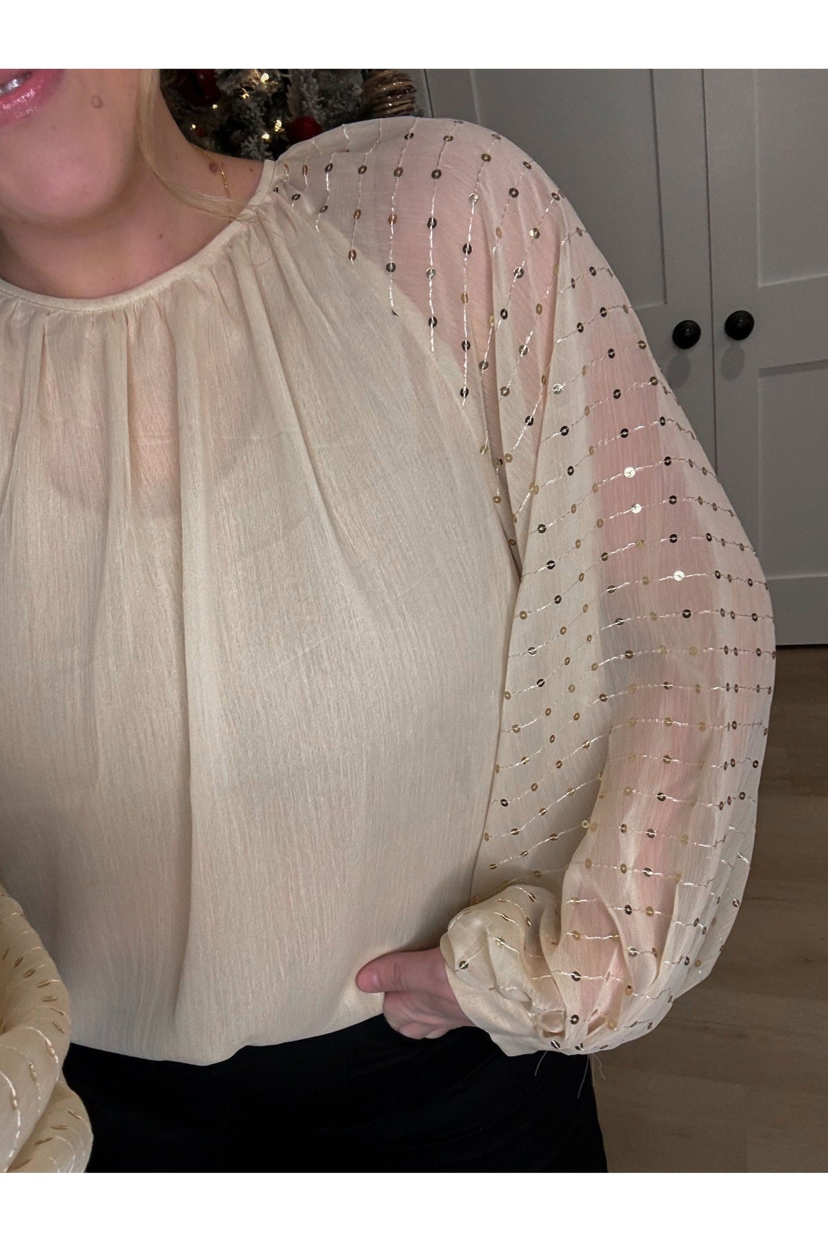 Shimmer Nights Sequin Sleeve Blouse